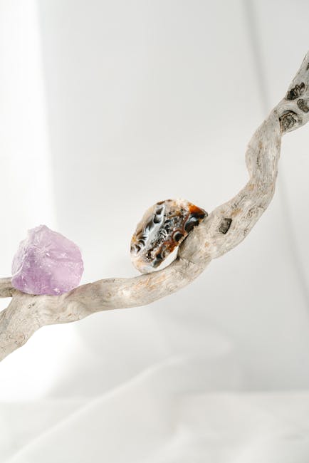 The Auspicious Crystal That Belongs to You