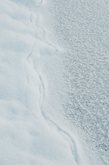 Balancing the Five Elements: Restoring Inner Harmony